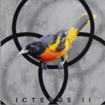 Icterus II @ 600 x 400